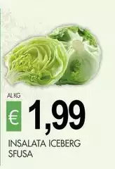 Insalata Iceberg Sfusa