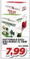 Fattoria 6 Gigui Bagin Box 3l