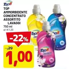 Top5 - Ammorbidente Concentrato Assortito Lavaggi