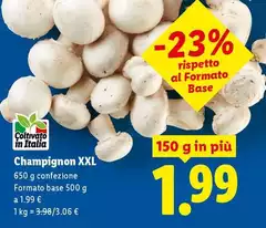 Champignon XXL