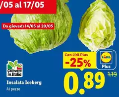 Insalata Iceberg 