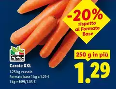Carote XXL