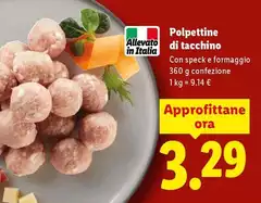Polpettine Di Tacchino