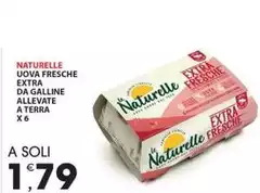 Le Naturelle - Uova Fresche Extra Da Galline Allevate A Terra Le Naturelle - Uova Fresche Extra Da Galline Allevate A Terra