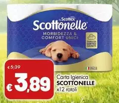 Scottex - Carta Igienica Scottex - Carta Igienica