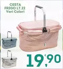 Cesta Frigo Lt.22