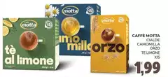 Motta - Caffe Cialde Camomilla
