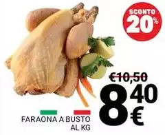 Faraona A Busto