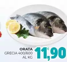 Orata Orata