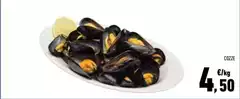 Cozze