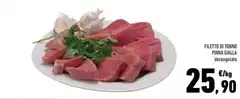 Pinna - Filetto Di Tonno  Gialla
