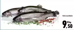 Trota Salmonata