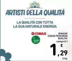 Energia - Banane Percorso Qualita' Energia - Banane Percorso Qualita'