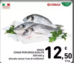 Conad - Orata Percorso Qualità Conad - Orata Percorso Qualità