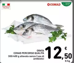 Conad - Orata Percorso Qualità Conad - Orata Percorso Qualità