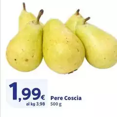 Pere Coscia Pere Coscia