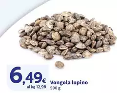 Vongola Lupino