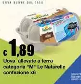 Le Naturelle - Uova Allevate A Terra Categoria "M" Le Naturelle - Uova Allevate A Terra Categoria "M"