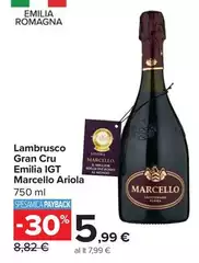 Arioli - Lambrusco Gran Cru Emilia IGT Marcello