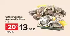Ostrica Concava Apertura Facilitata