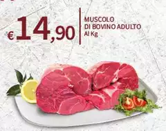 Muscolo Di Bovino Adulto