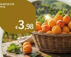 Albicocche Albicocche