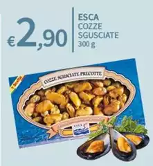 Esca - Cozze Sgusciate
