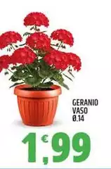 Guanio VASO Guanio VASO