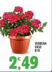 Verbena Vaso