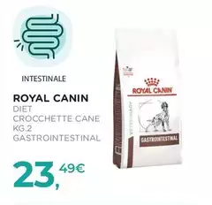 Royal Canin - Diet Crocchette Cane Kg.2 Gastrointestinal