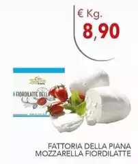 Fattoria Della Piana - Mozzarella Fiordilatte