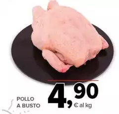 Pollo A Busto
