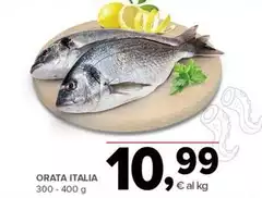 Orata Italia Orata Italia