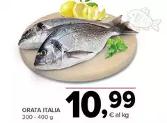 Orata Italia Orata Italia
