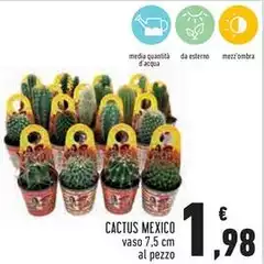 Cactus Mexico
