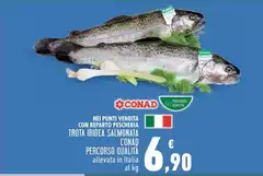 Conad - Trota Iridea Salmonata Percorso Qualita Conad - Trota Iridea Salmonata Percorso Qualita