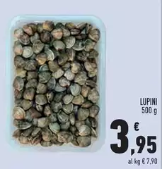 Lupini