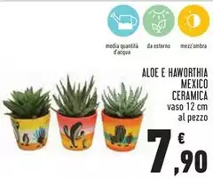 Aloe E Haworthia Mexico Ceramica Aloe E Haworthia Mexico Ceramica
