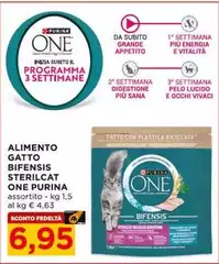 Purina - Alimento Gatto Bifensis Sterilcat One Purina - Alimento Gatto Bifensis Sterilcat One