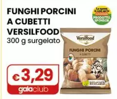 Versilfood - Funghi Porcini A Cubetti 