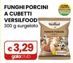 Versilfood - Funghi Porcini A Cubetti 300 G Surgelato