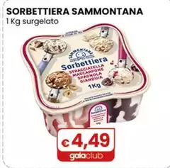 Sammontana - Sorbettiera 1 Kg Surgelato Sammontana - Sorbettiera 1 Kg Surgelato