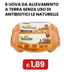 Le Naturelle - 6 Uova Da Allevamento A Terra Senza Uso Di Antibiotici Le Naturelle - 6 Uova Da Allevamento A Terra Senza Uso Di Antibiotici