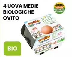 Ovito - 4 Uova Medie Biologiche Ovito - 4 Uova Medie Biologiche