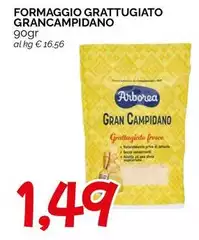 Arborea - Formaggio Grattugiato Grancampidano Arborea - Formaggio Grattugiato Grancampidano