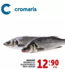 Cromaris - Branzino
