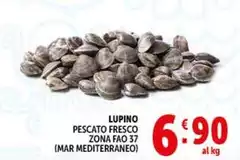 Lupino Pescato Fresco