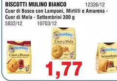 Mulino Bianco - Biscotti Mulino Bianco - Biscotti
