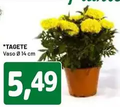 Tagte Tagte