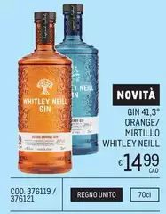 Gin 41,3 Orange/ Mirtillo